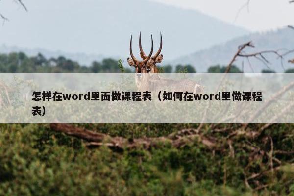 怎样在word里面做课程表（如何在word里做课程表）