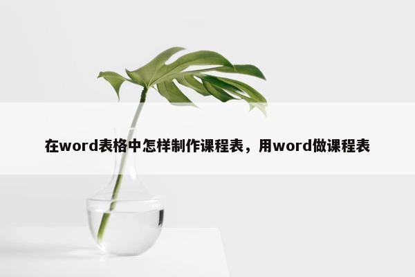 在word表格中怎样制作课程表，用word做课程表