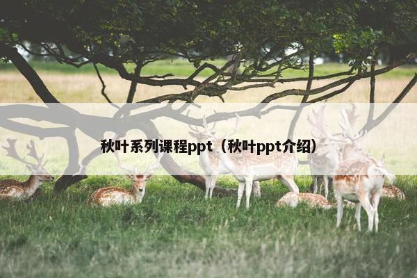 秋叶系列课程ppt（秋叶ppt介绍）