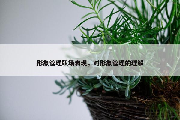 形象管理职场表现，对形象管理的理解