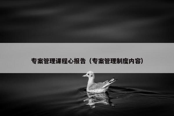专案管理课程心报告（专案管理制度内容）