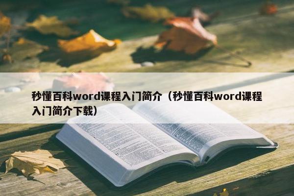 秒懂百科word课程入门简介（秒懂百科word课程入门简介下载）