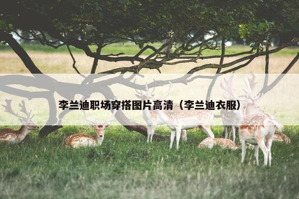 李兰迪职场穿搭图片高清（李兰迪衣服）