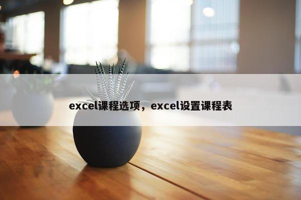 excel课程选项，excel设置课程表