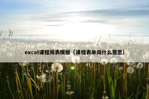 excel课程周表模板（课程表单周什么意思）