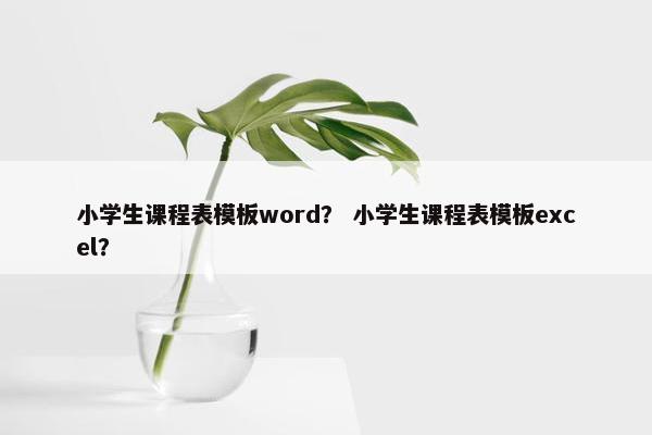 小学生课程表模板word？ 小学生课程表模板excel？