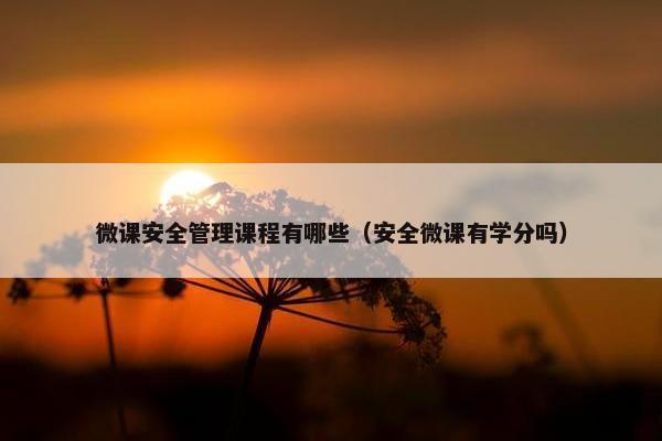 微课安全管理课程有哪些（安全微课有学分吗）