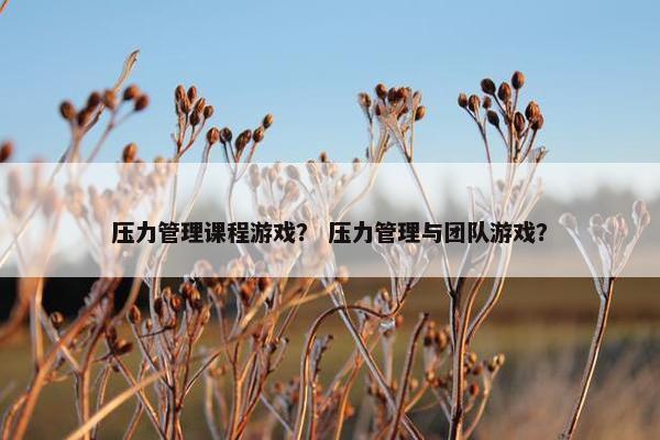 压力管理课程游戏？ 压力管理与团队游戏？