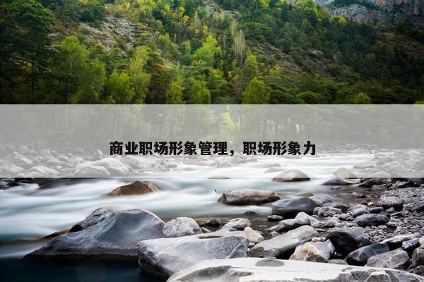 商业职场形象管理，职场形象力