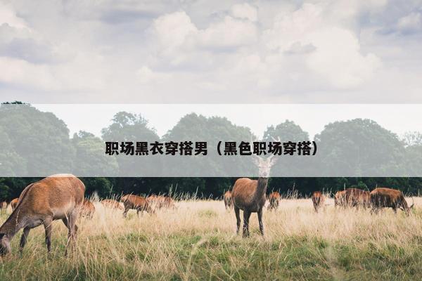 职场黑衣穿搭男（黑色职场穿搭）