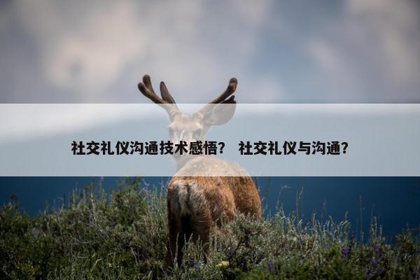 社交礼仪沟通技术感悟？ 社交礼仪与沟通？