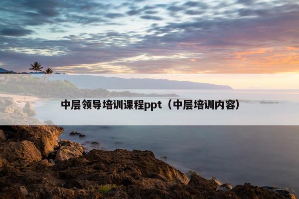 中层领导培训课程ppt（中层培训内容）