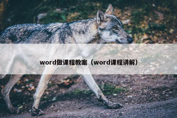 word做课程教案（word课程讲解）