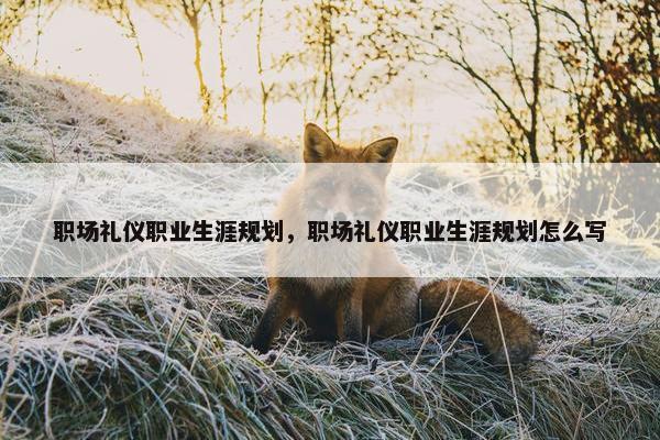 职场礼仪职业生涯规划，职场礼仪职业生涯规划怎么写