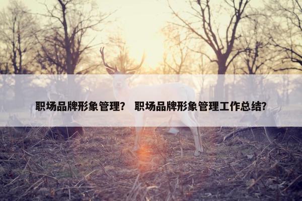 职场品牌形象管理？ 职场品牌形象管理工作总结？