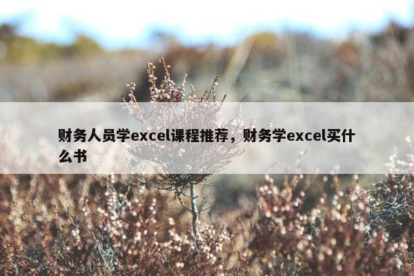 财务人员学excel课程推荐，财务学excel买什么书