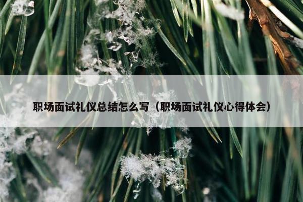 职场面试礼仪总结怎么写（职场面试礼仪心得体会）
