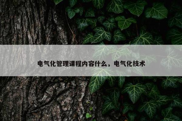 电气化管理课程内容什么，电气化技术