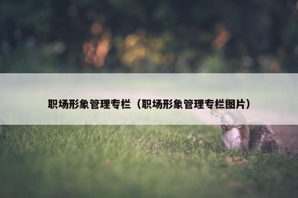 职场形象管理专栏（职场形象管理专栏图片）
