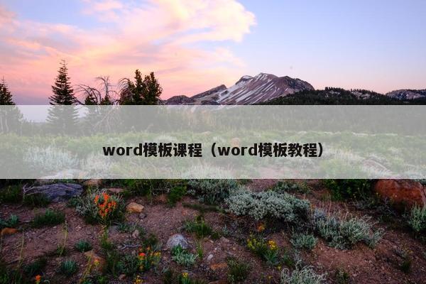 word模板课程（word模板教程）