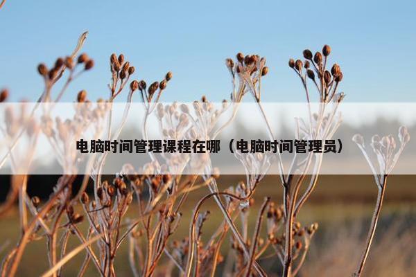电脑时间管理课程在哪（电脑时间管理员）