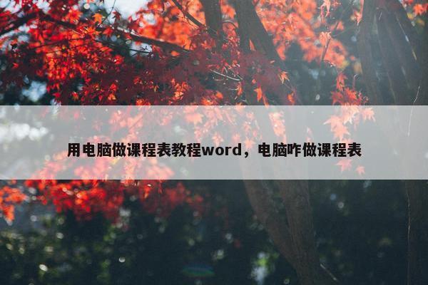 用电脑做课程表教程word，电脑咋做课程表