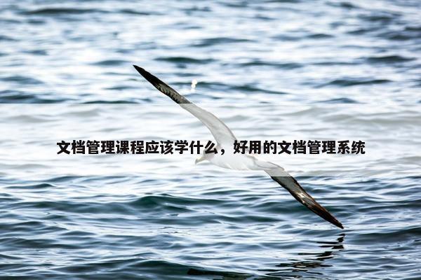 文档管理课程应该学什么，好用的文档管理系统