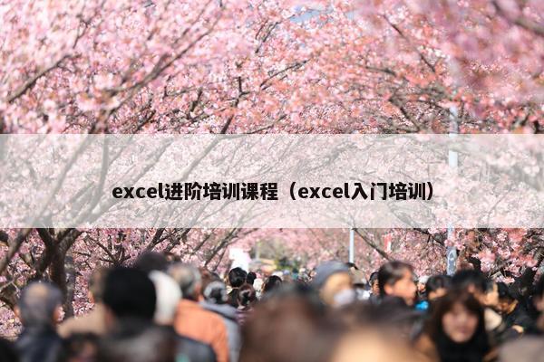 excel进阶培训课程（excel入门培训）
