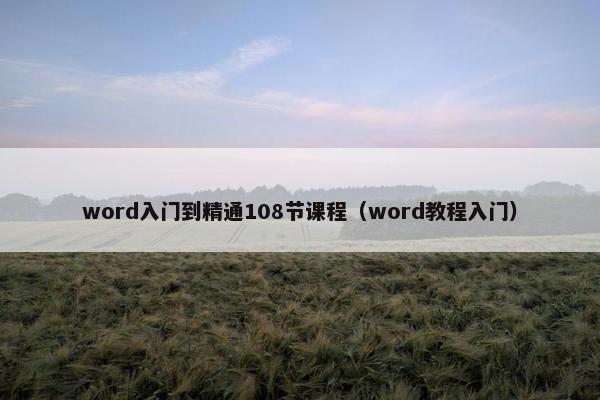 word入门到精通108节课程（word教程入门）