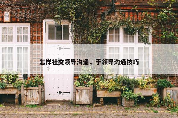 怎样社交领导沟通，于领导沟通技巧