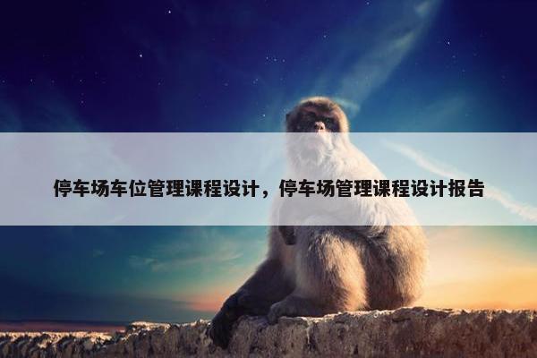 停车场车位管理课程设计，停车场管理课程设计报告