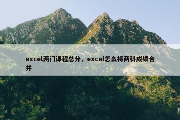excel两门课程总分，excel怎么将两科成绩合并