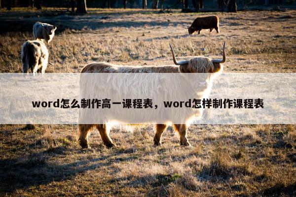 word怎么制作高一课程表，word怎样制作课程表