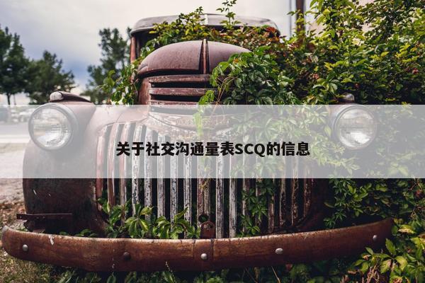 关于社交沟通量表SCQ的信息