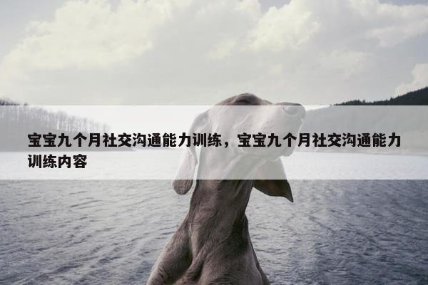 宝宝九个月社交沟通能力训练，宝宝九个月社交沟通能力训练内容