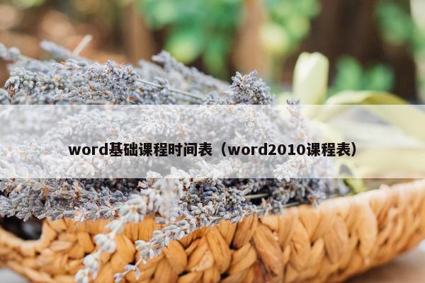 word基础课程时间表（word2010课程表）