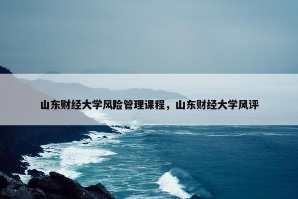 山东财经大学风险管理课程，山东财经大学风评