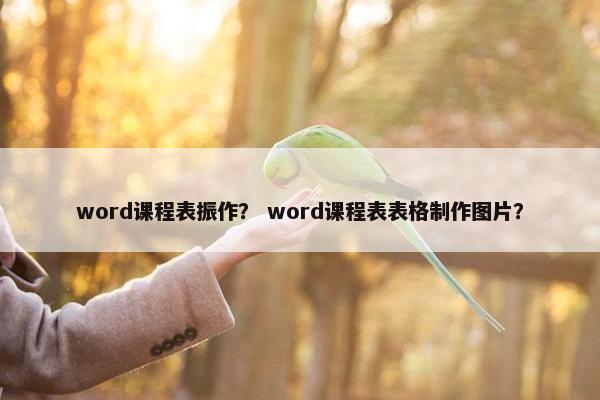 word课程表振作？ word课程表表格制作图片？