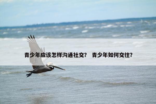 青少年应该怎样沟通社交？ 青少年如何交往？