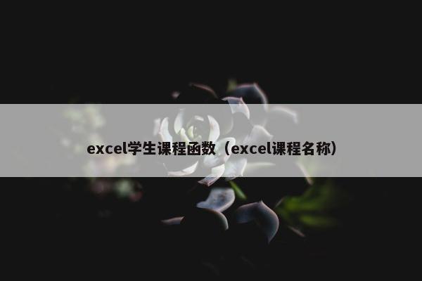 excel学生课程函数（excel课程名称）