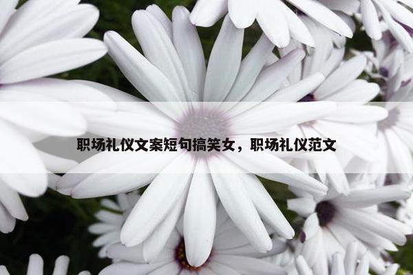 职场礼仪文案短句搞笑女，职场礼仪范文