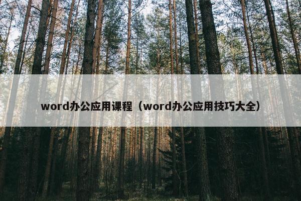 word办公应用课程（word办公应用技巧大全）