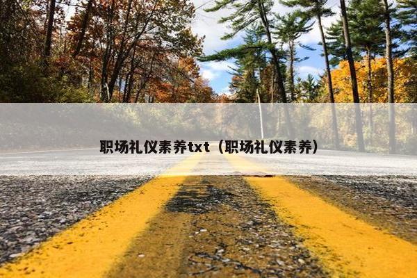职场礼仪素养txt（职场礼仪素养）