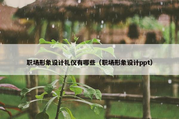 职场形象设计礼仪有哪些（职场形象设计ppt）