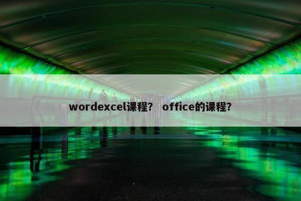 wordexcel课程？ office的课程？