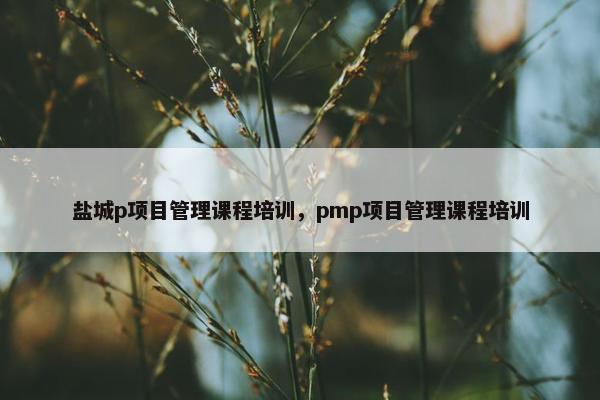 盐城p项目管理课程培训，pmp项目管理课程培训