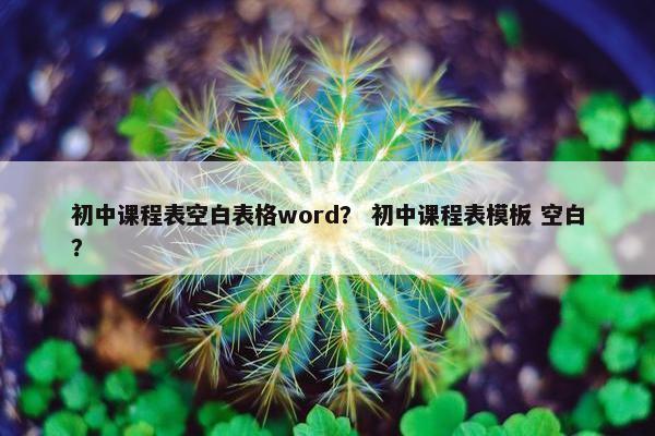 初中课程表空白表格word？ 初中课程表模板 空白？