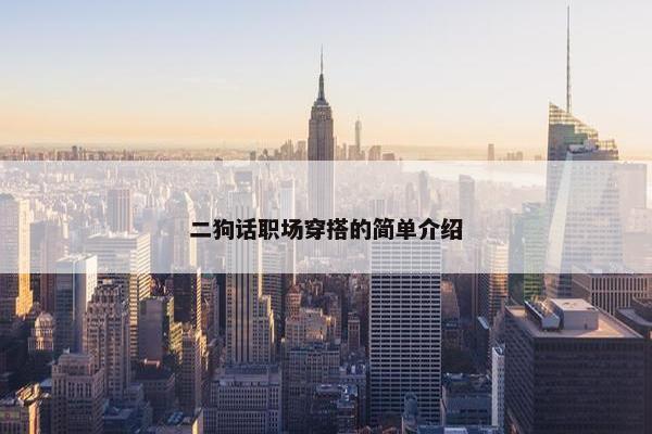 二狗话职场穿搭的简单介绍