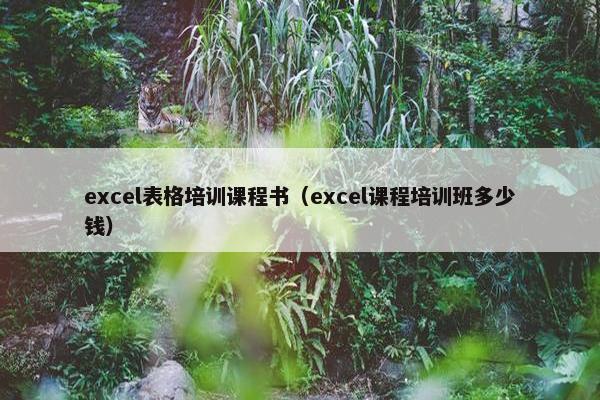 excel表格培训课程书（excel课程培训班多少钱）