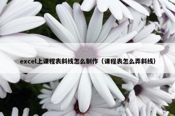 excel上课程表斜线怎么制作（课程表怎么弄斜线）
